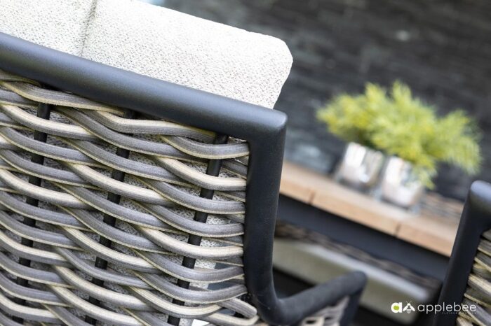 Applebee MILOU dining stoel Black - Afbeelding 3